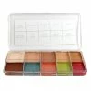 Premiere Products Inc. Skin Illustrator Flesh Tone Palette
