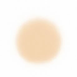 Face Temptu Perfect Canvas Hydra Lock Airpod Foundation