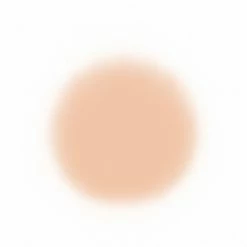 Face Temptu Perfect Canvas Hydra Lock Airpod Foundation