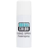Kryolan Dermacolor Fixing Spray