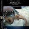 Stan Winston Studio Painting Prosthetic Makeup Appliances - Foam, Latex, Silicone (DVD)