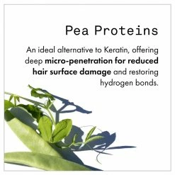 Fekkai Clean Stylers Prime Mist New