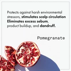 Fekkai Apple Cider Detox Scrub