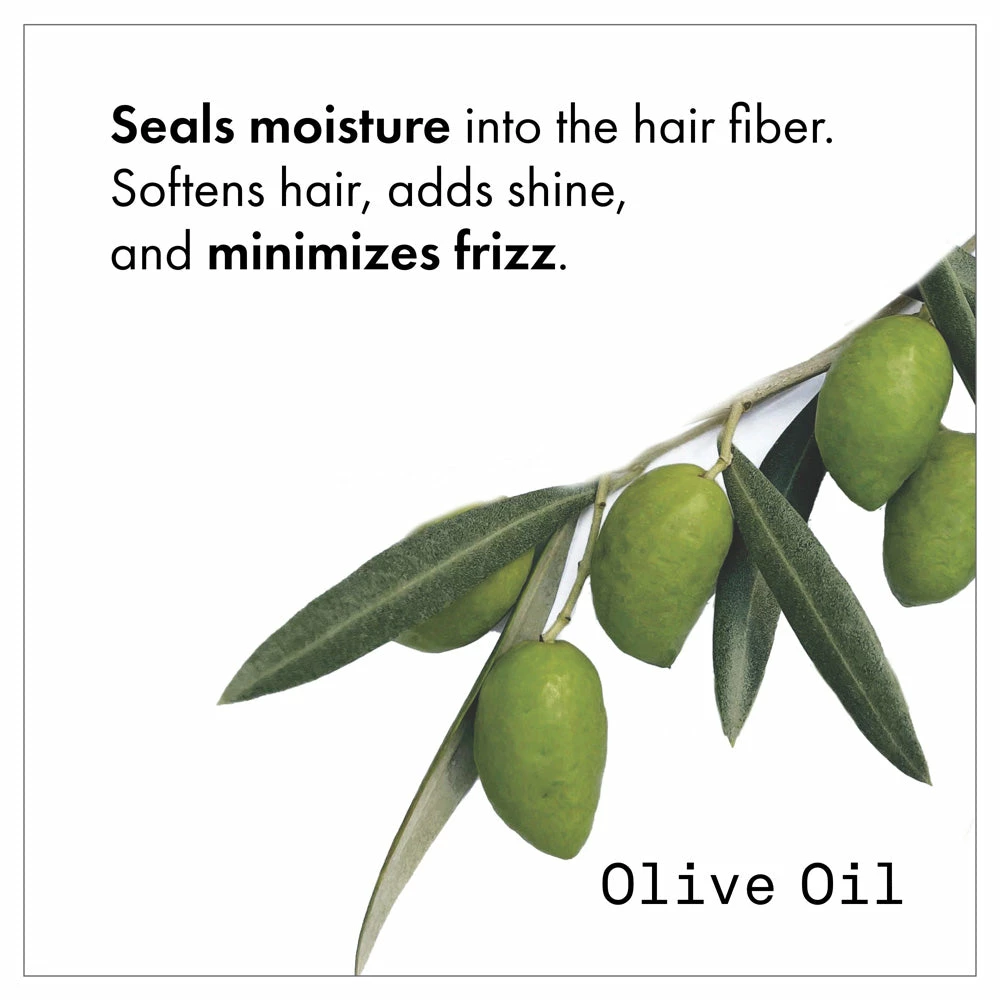 Fekkai Brilliant Gloss Shampoo New 3 Fekkai Brilliant Gloss Shampoo New