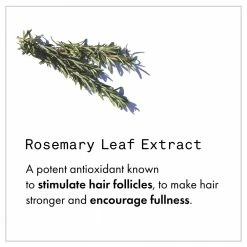 Fekkai Full Blown Volume Conditioner New