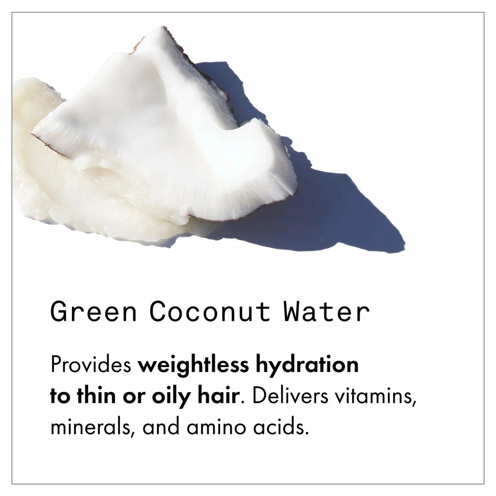 Fekkai Full Blown Volume Shampoo 6 Fekkai Full Blown Volume Shampoo