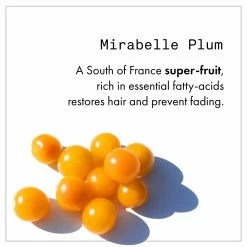 Fekkai Technician Color Treatment Powerful Flash Mask