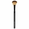 Illamasqua Highlighter Fan Brush Kits & Tools
