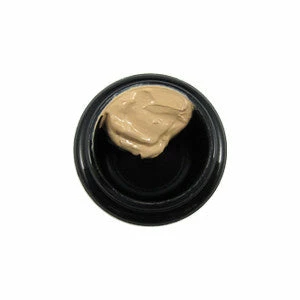 Face SAMPLE Of Cinema Secrets Correctors 1 Face SAMPLE Of Cinema Secrets Correctors