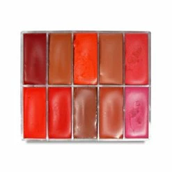 MAQ Pro Maqpro Lipstick Palette R01