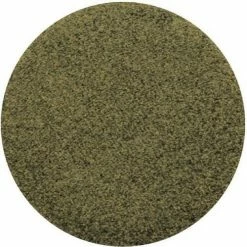 Sydney Grace Pressed Pigment Eyeshadows