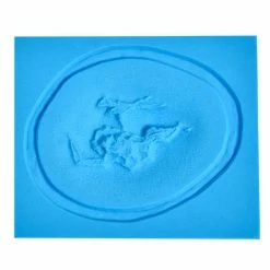 Prosthetic Transfer Material Kits & Tools P.T.M. Hi-Ro Self-Releasing Molds Zombie Cheek With Teeth (Right Side)