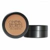 Face Cinema Secrets Ultimate Foundation 300 Series