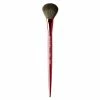 Kits & Tools Melanie Mills Hollywood Omnia X MMH Highlight Brush (MM03)