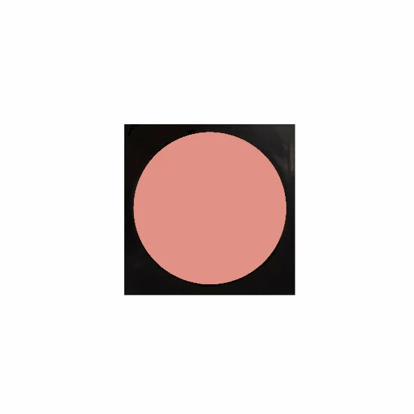 RCMA VK Pro Palette Replaceable Godets 56 RCMA VK Pro Palette Replaceable Godets