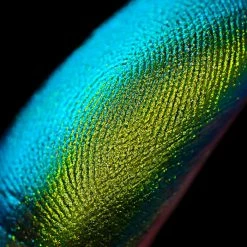 Karla Cosmetics Pressed Eyeshadow New