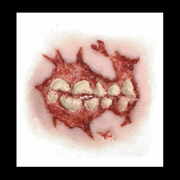 Special FX Tinsley Transfers Cheek Decay - 3D FX Transfer 2 Special FX Tinsley Transfers Cheek Decay - 3D FX Transfer