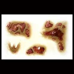 Tinsley Transfers The Running Dead - 3D FX Transfer Special FX