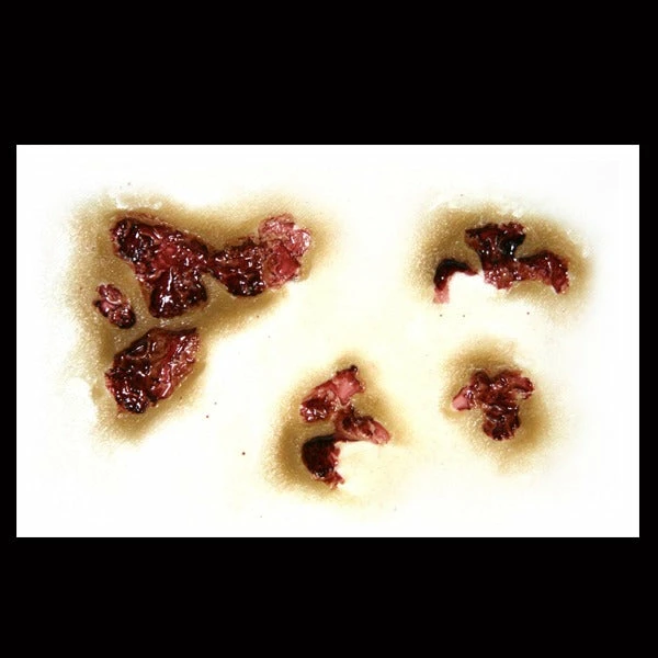 Special FX Tinsley Transfers Zombie Rot - 3D FX Transfer 2 Special FX Tinsley Transfers Zombie Rot - 3D FX Transfer